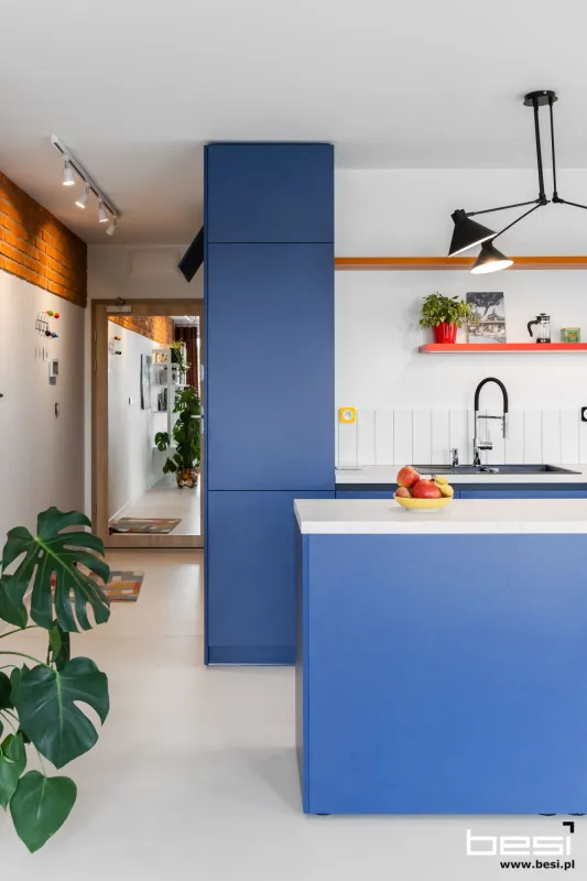 Mieszkanie w Katowicach — Bauhaus — Kuchnia i przedpokój