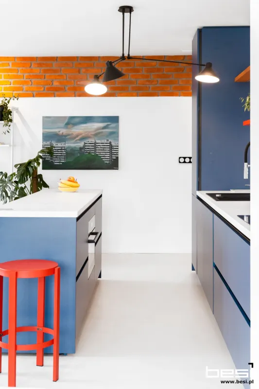 Mieszkanie w Katowicach — Bauhaus — Kuchnia i przedpokój