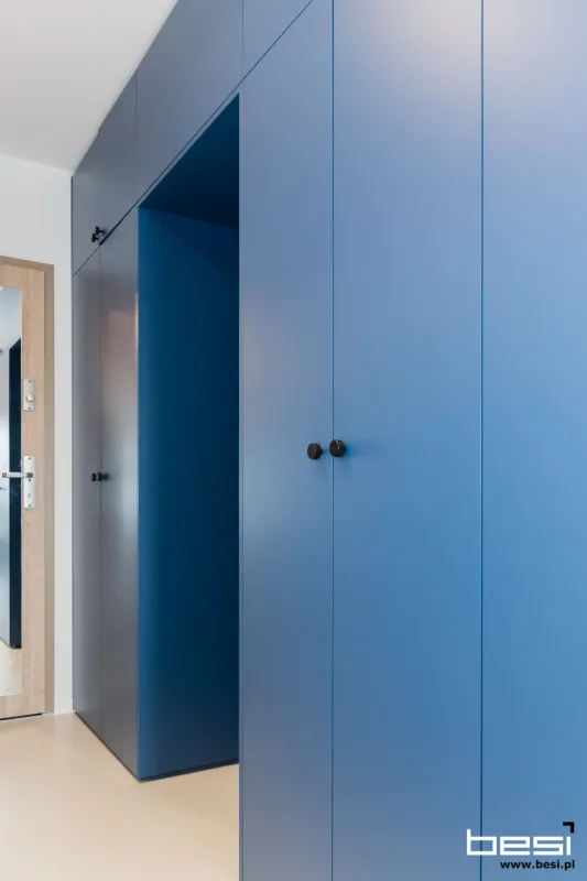 Mieszkanie w Katowicach — Bauhaus — Kuchnia i przedpokój