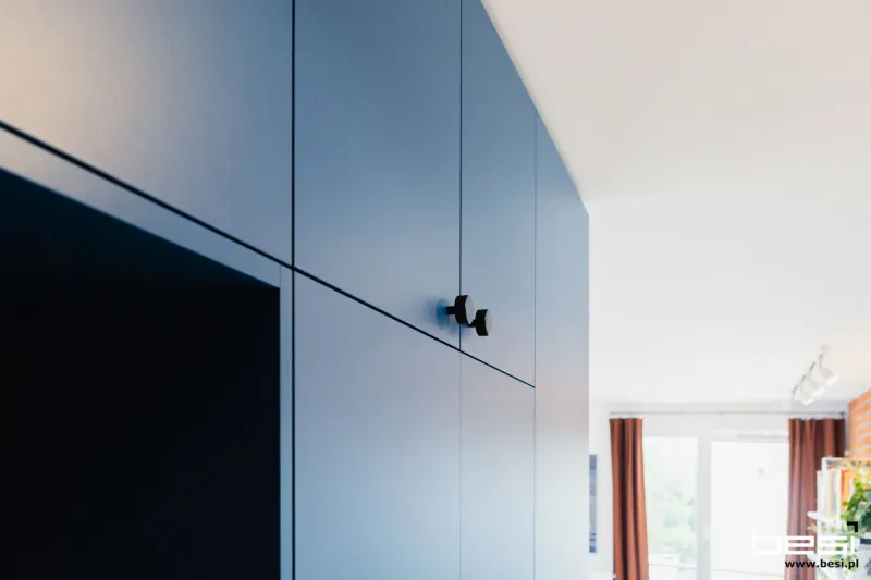 Mieszkanie w Katowicach — Bauhaus — Kuchnia i przedpokój