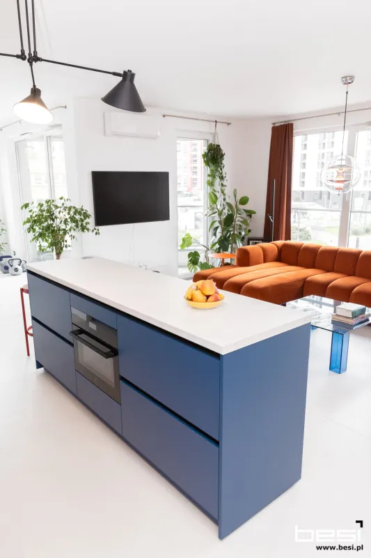 Mieszkanie w Katowicach — Bauhaus — Kuchnia i przedpokój