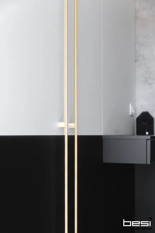Dom w Nieborowicach — dąb i szarości — Przedpokój