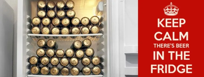 Lodówka wolnostojąca czy zabudowana?